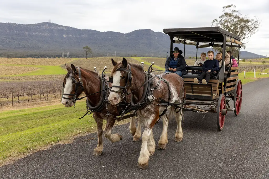 Harvest the Hunter Horse and Carriage Wine Tour