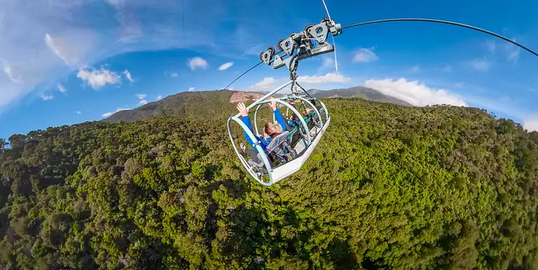 Nelson Flying Fox