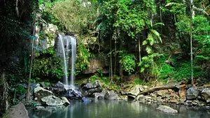 The Tastes of Tamborine Mountain