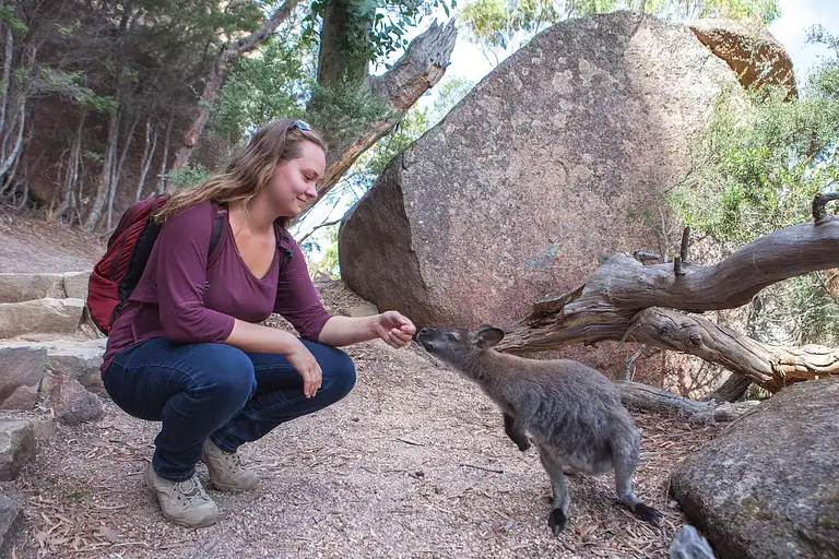 Wineglass Bay