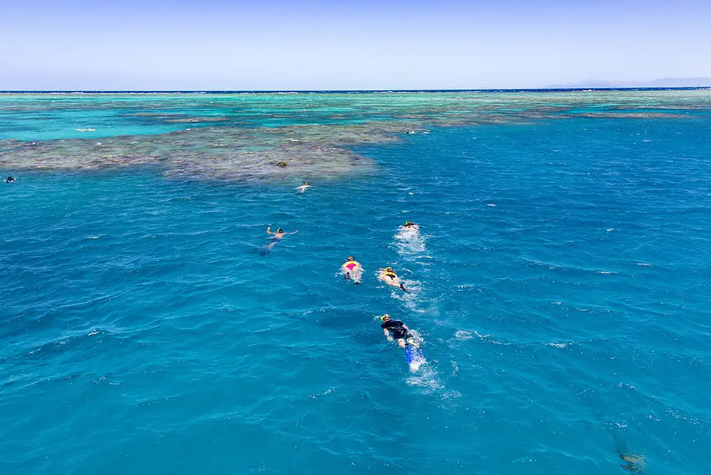 8 Day Daintree & Cape Tribulation Adventure