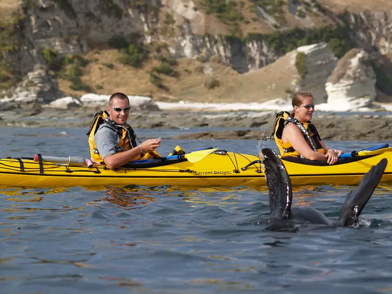 Kaikoura Kayak Tour Deals