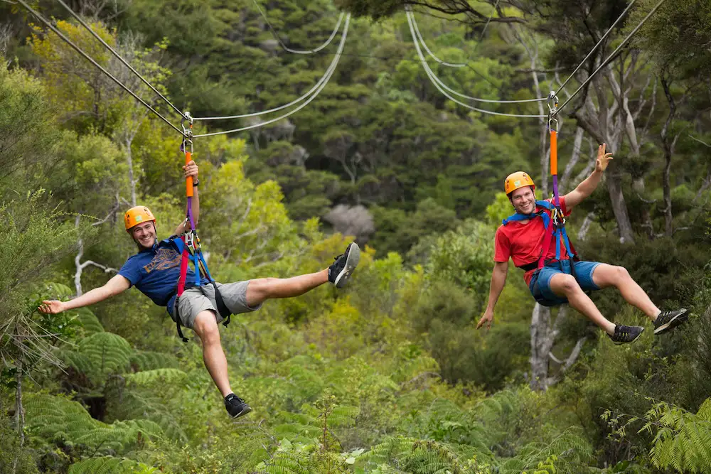 EcoZip waiheke island zip line tour