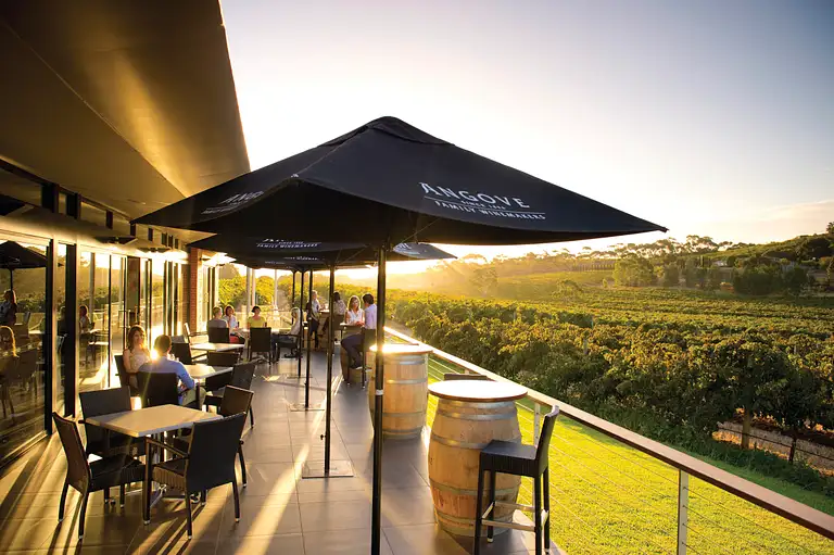 wine tasting tours south australia