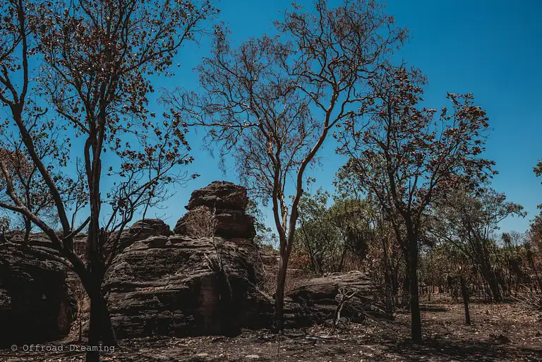 Kakadu Day Tour From Darwin