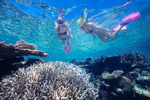Certified Dive and Snorkelling Great Barrier Reef