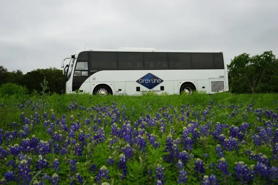 Texas Hill Country and LBJ Ranch Guided Day Trip from San Antonio