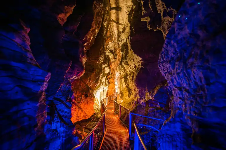 Ruakuri Cave Tour