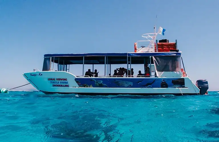 Coral Bay Ningaloo Reef Turtle Encounter Discount