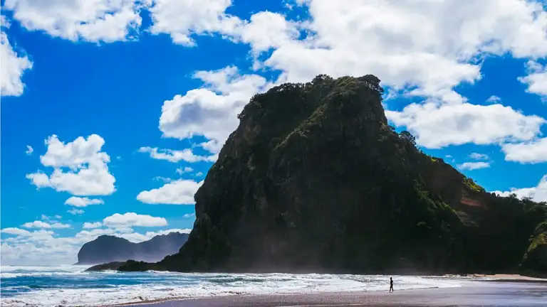 West Coast Discovery Tour Special