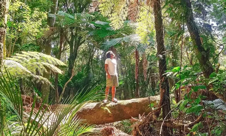 10 Day North Island Explorer Deals