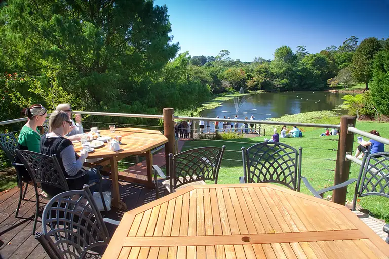 Springbrook & Tamborine Rainforest Tour Discount Deal