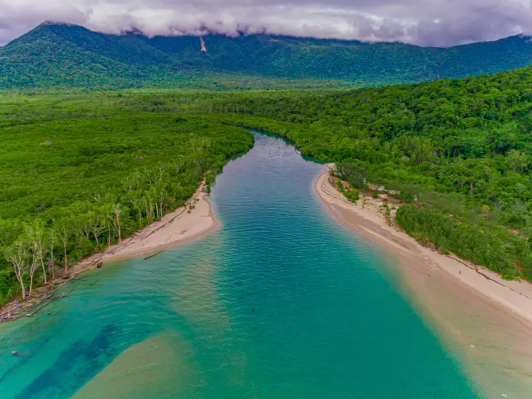 Half Day 4WD Daintree Tour