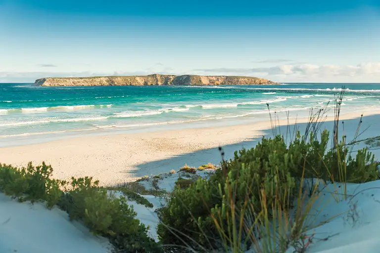 Coffin Bay Oyster Discount