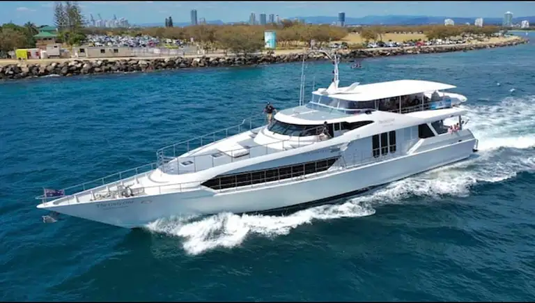 Luxury Whale watching experience