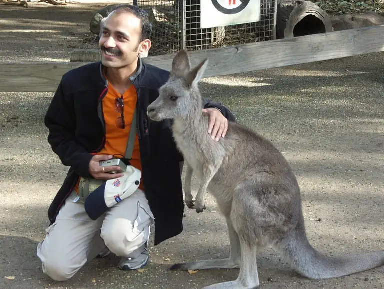 blue mountains nature and wildlife experience