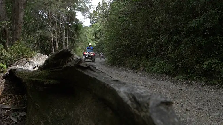 Nelson Quad Bike Tour deals