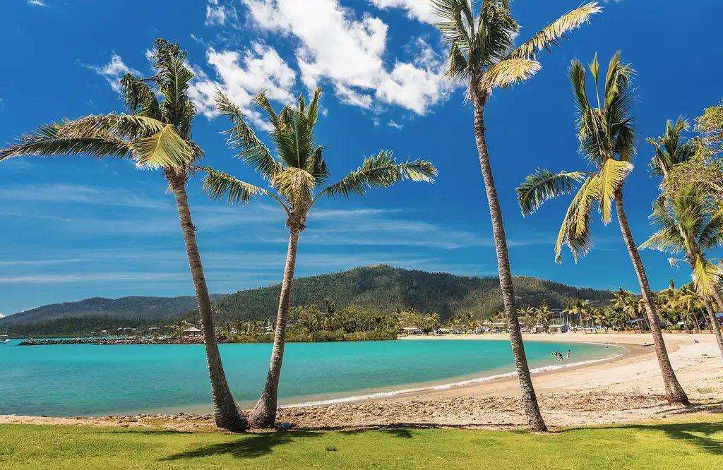 The Whitsundays Mainland Explorer: Small-Group Half-Day Hinterland Tour