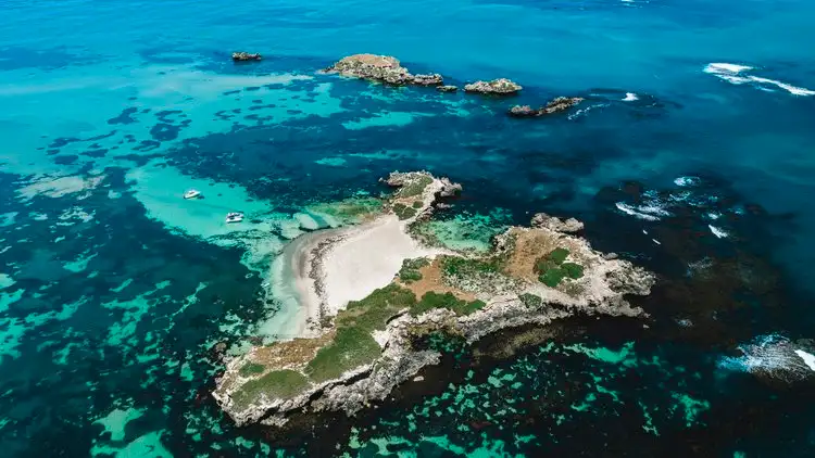 Penguin island cruise