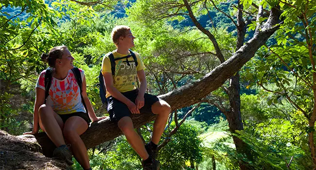 Queen Charlotte Track Walk from Torea Bay to Mistletoe Bay