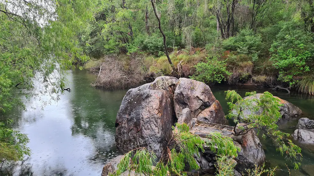 Collie Hike Experience | Off the Beaten Track WA