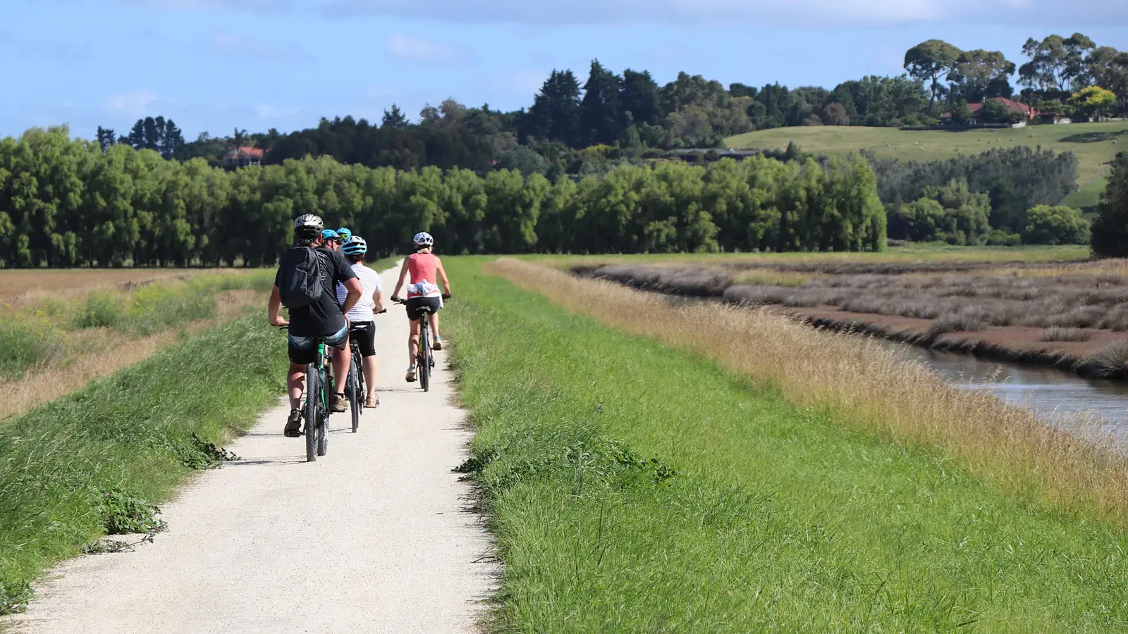 Ahuriri Napier Loop Cycling Tour