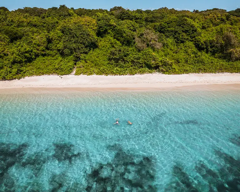 Green Island Snorkelling Tour