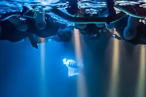 Night Manta Snorkelling Experience Hawaii