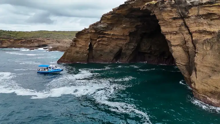 Ocean explorer tour from Lake Macquarie