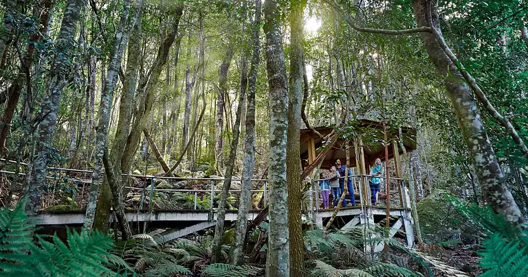 Blue Mountains day tour