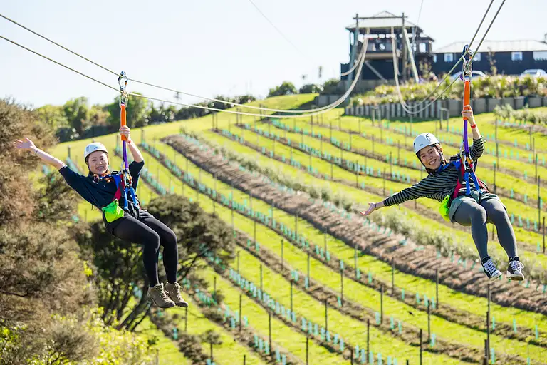zipline EcoZip waiheke island