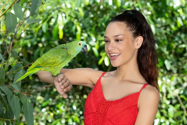Best Great Australian Wildlife Experience package