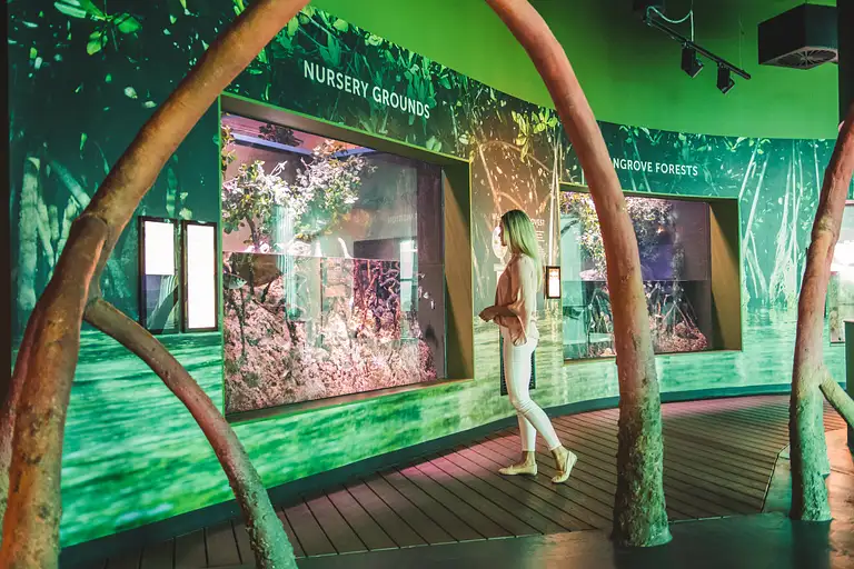 Cairns Aquarium Entry Tickets