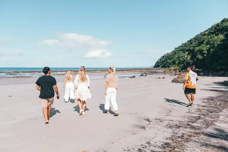 Cape Tribulation Tour