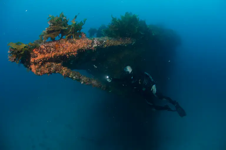 Rainbow warrior wreck discounts