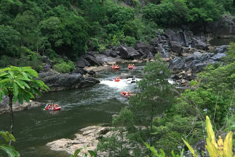 Daintree Rainforest and Waterfall Tour Included in Cairns Adventure Package