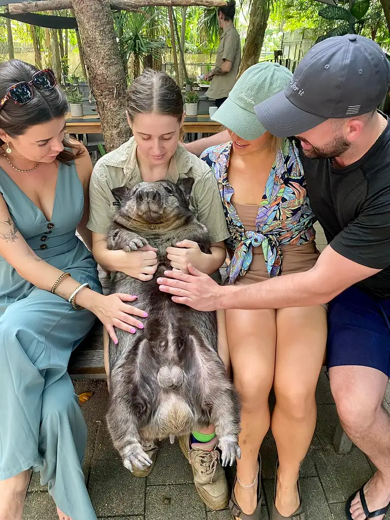 Magnetic Island Wildlife Park Tour
