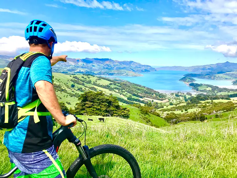 Akaroa Guided Sea Kayaking & Ebike Safaris