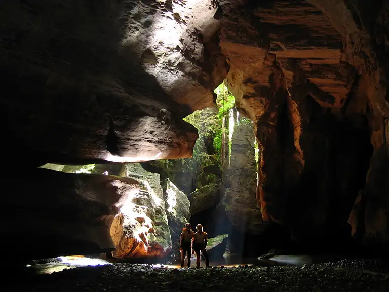 Glowworms New zealand