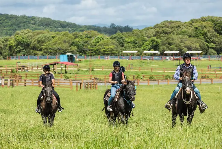Horse Riding and ATV Tour