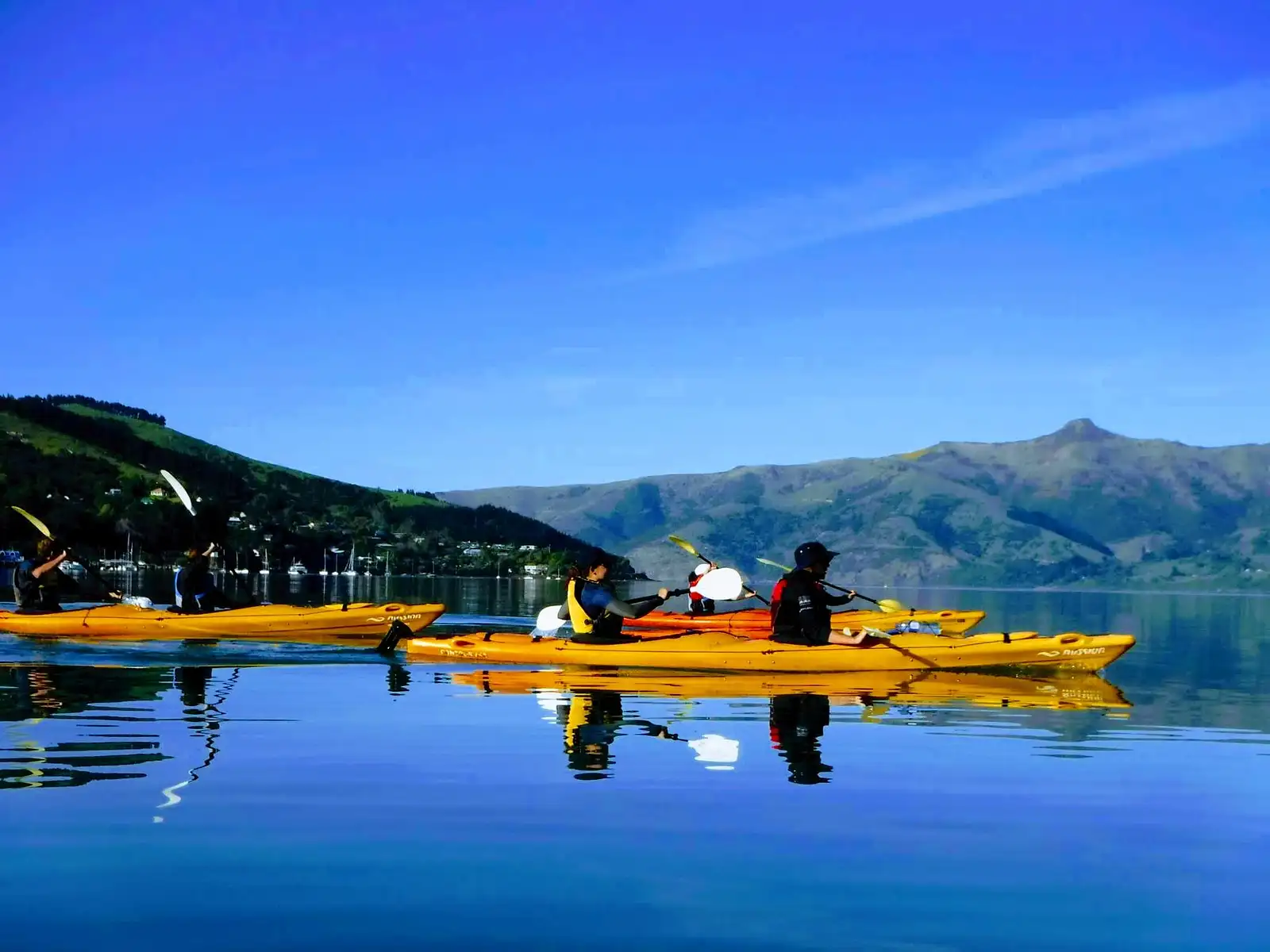 kayaking tours akaroa