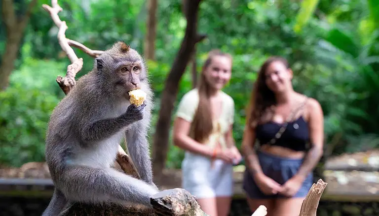 Bali Holiday Package Deal