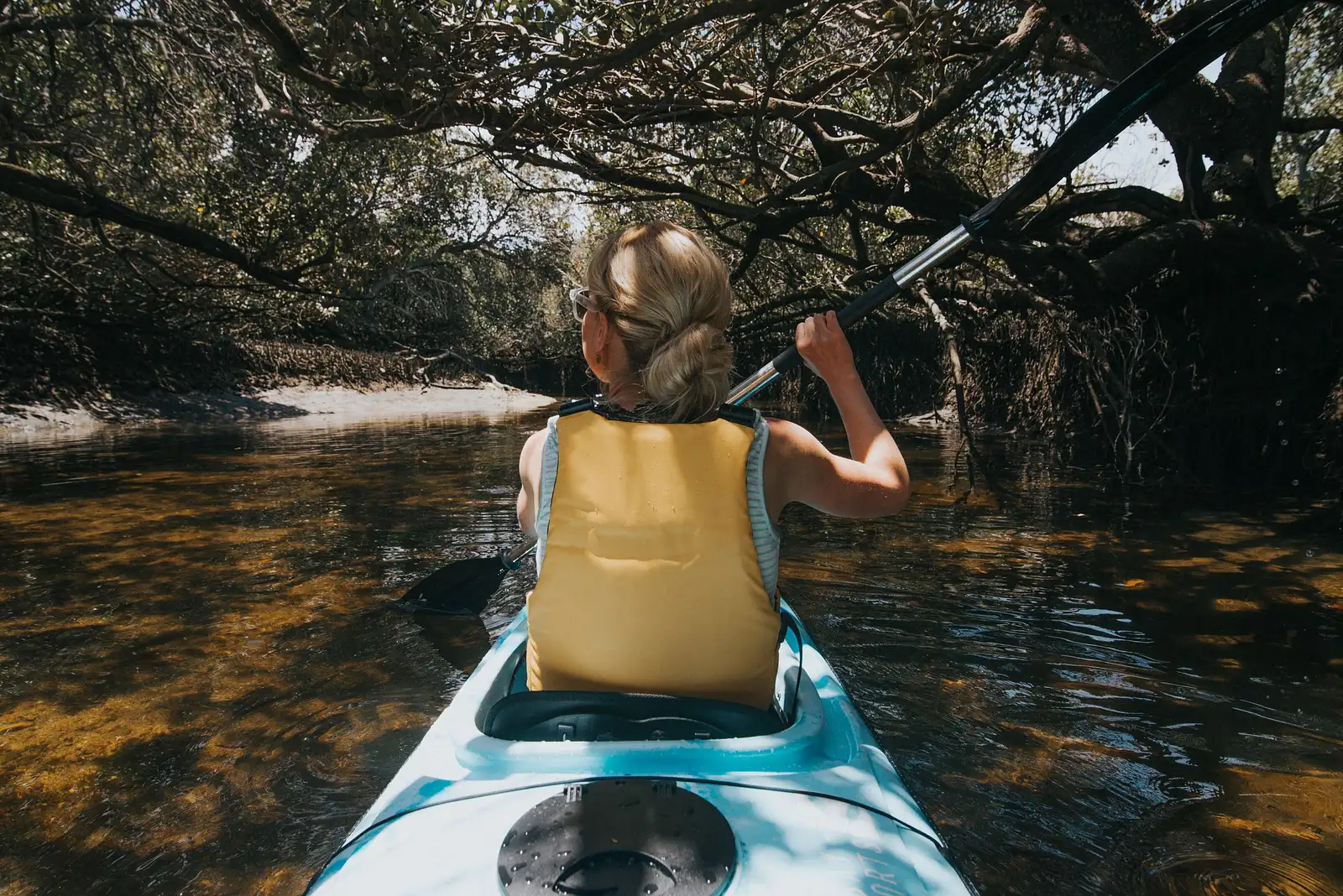 Dolphin Sanctuary Guided Eco Kayak Tour