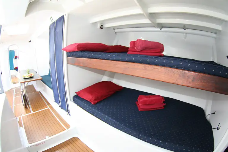 whitsunday sailing experience