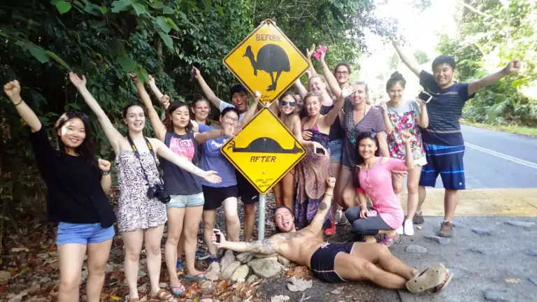 Cape Tribulation Day Tour Deals