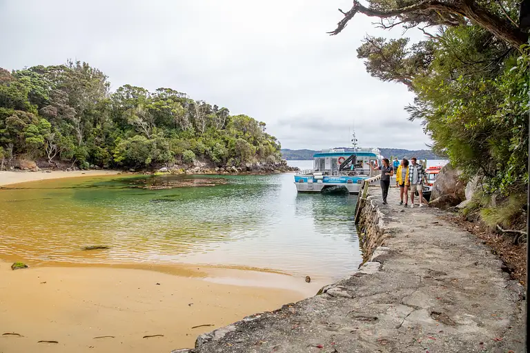 Ulva Island Explorer Deals