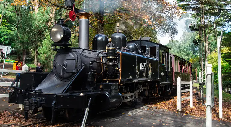 Puffing Billy And Phillip Island Wildlife Bus Tour Special