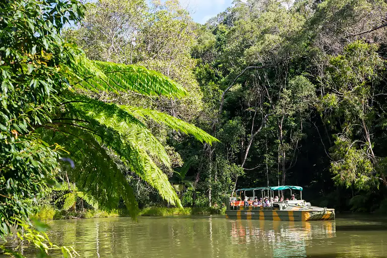Skyrail Rainforest Cableway Kuranda Tour