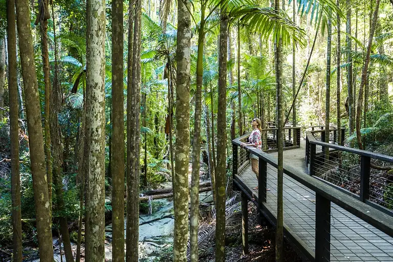 Fraser Island Tour from Hervey Bay Deals