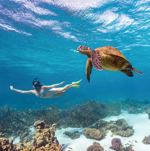7 Day Perth to Exmouth & Return | Adventure Tours Australia